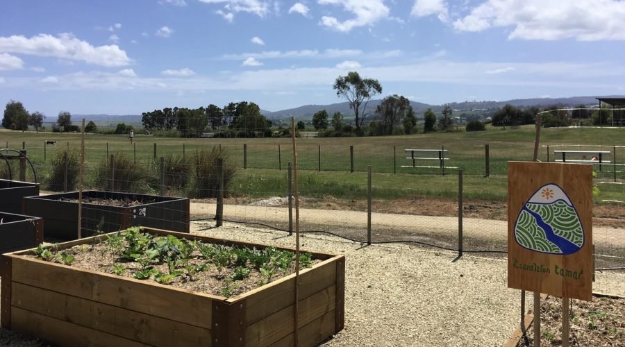Local Community Digs “Beginning Food Gardening” Workshops