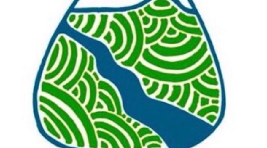 Introducing…  Transition Tamar