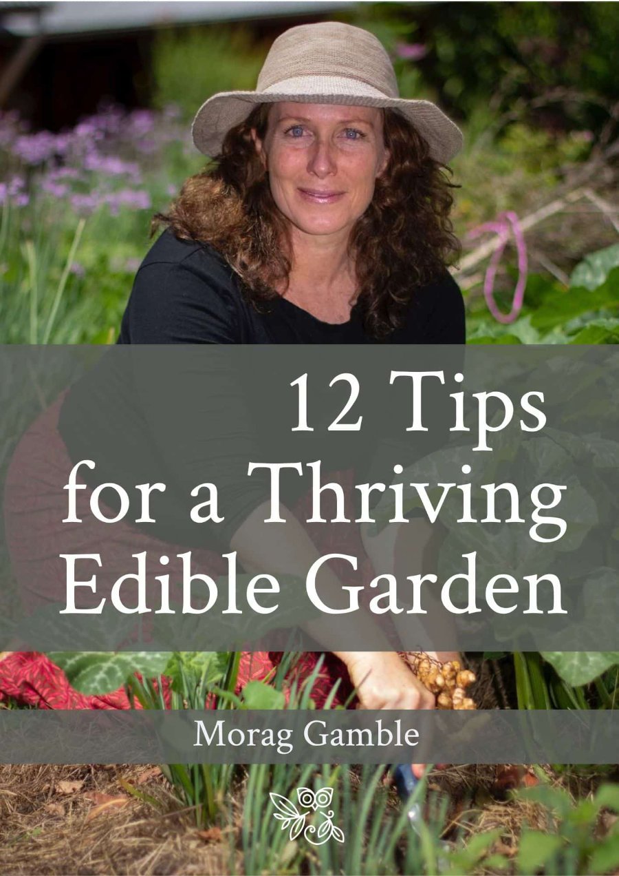 12 TIPS FOR A THRIVING EDIBLE GARDEN - 12 Tips for a Thriving E