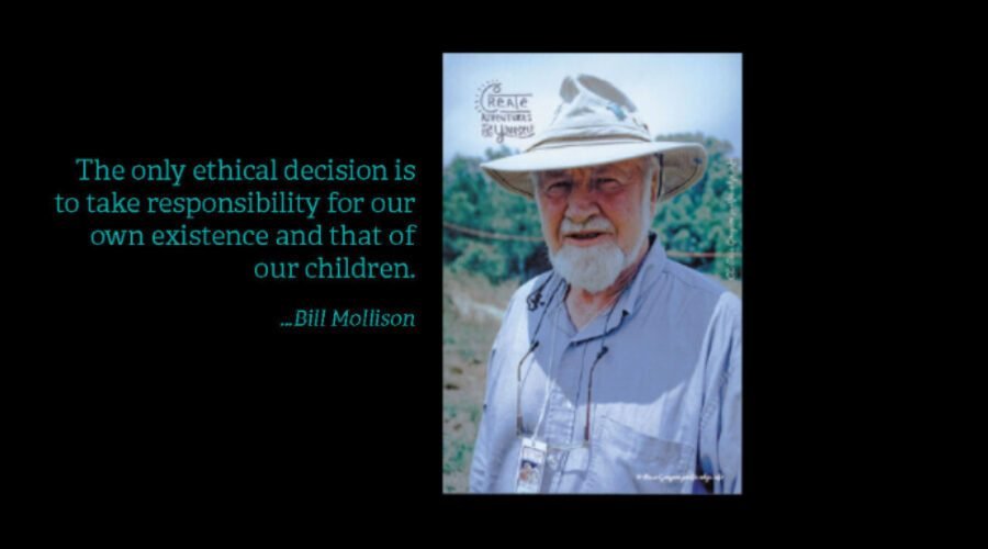 Permaculture… the Beginning