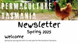 Newsletter spring 2025 feature image