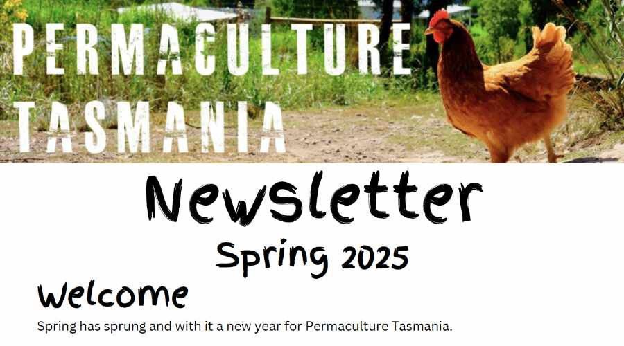 Newsletter — Spring 2025