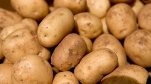 potato