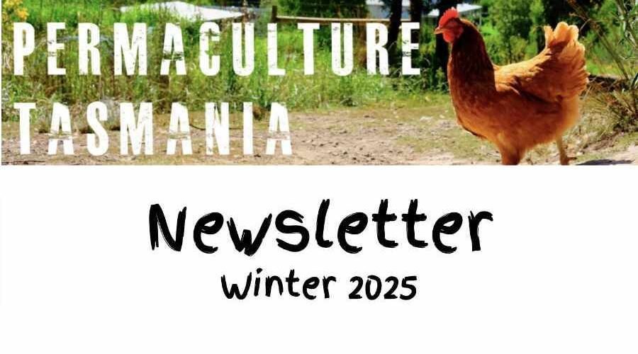 Newsletter — Winter 2025