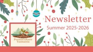 newsletter header