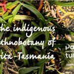 palawa tunapri feature image