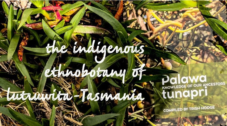 Old knowledge made new again: Tasmania’s pre-European heritage