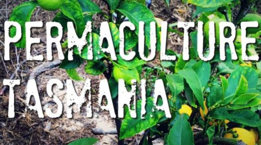 Newsletter — February 2019