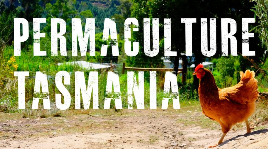 Newsletter — May 2021