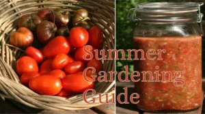 Summer planting guide