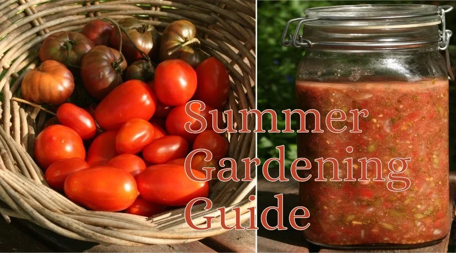 Summer gardening