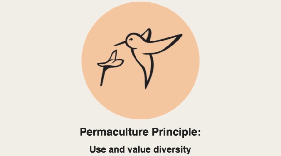 Permaculture principles in practice: use & value diversity