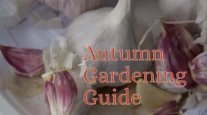 Autumn planting guide image