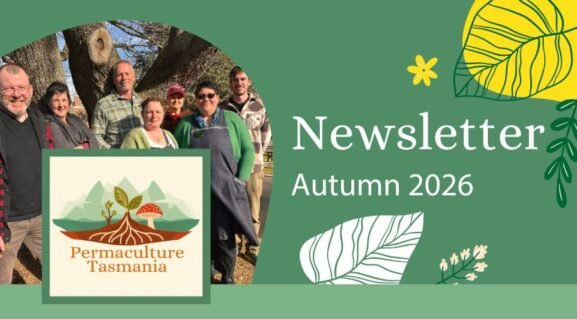 Newsletter Autumn 2026