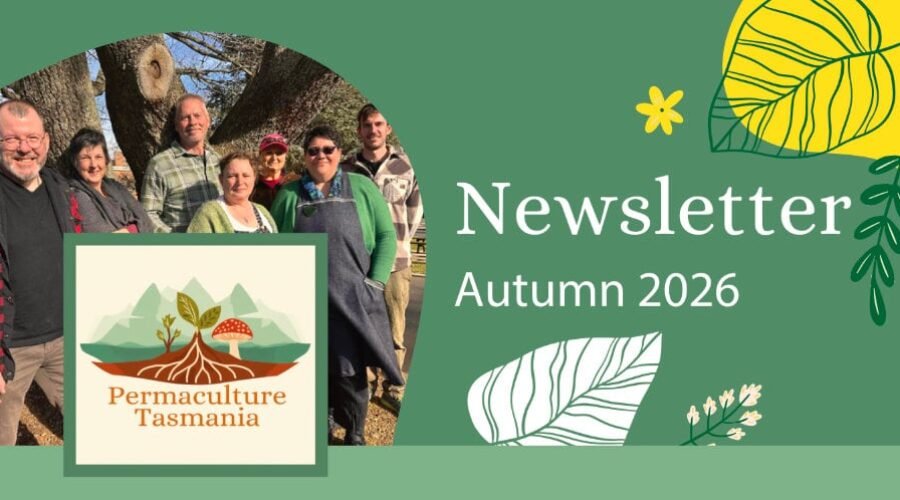 Newsletter — Autumn 2026