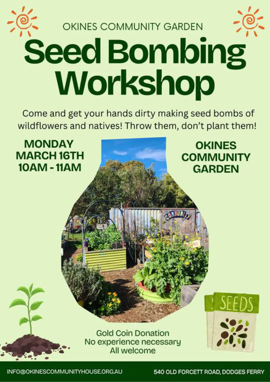 seed bombing workshop