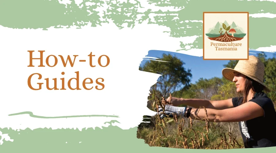 How-to guides