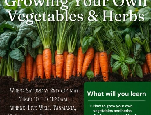 Growing your own vegetables and herbs