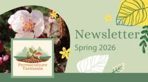 Newsletter Spring 2026