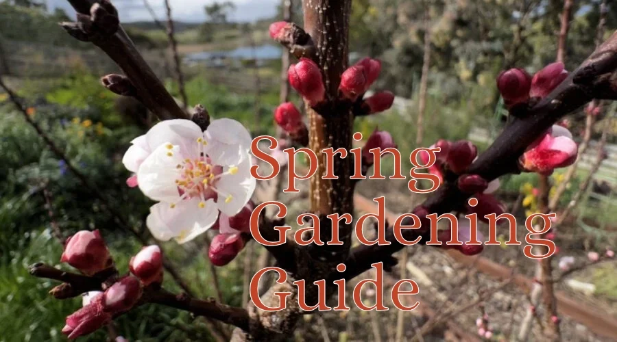 Spring gardening guide