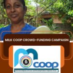 Crowd funding Sri Lanka