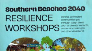 Southern Beaches resilience workshop image