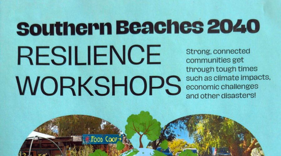 Searching for resilience
