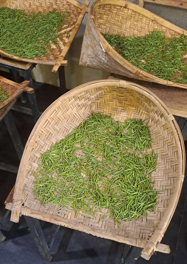 Kaley’s hand-rolled tealeaves, natural airdry
