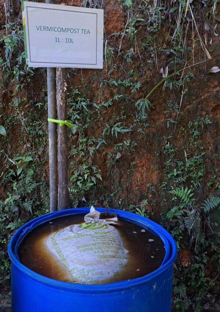 Vermicompost tea