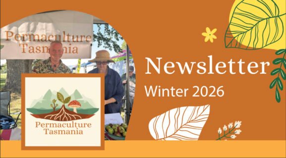 Newsletter Winter 2026 image