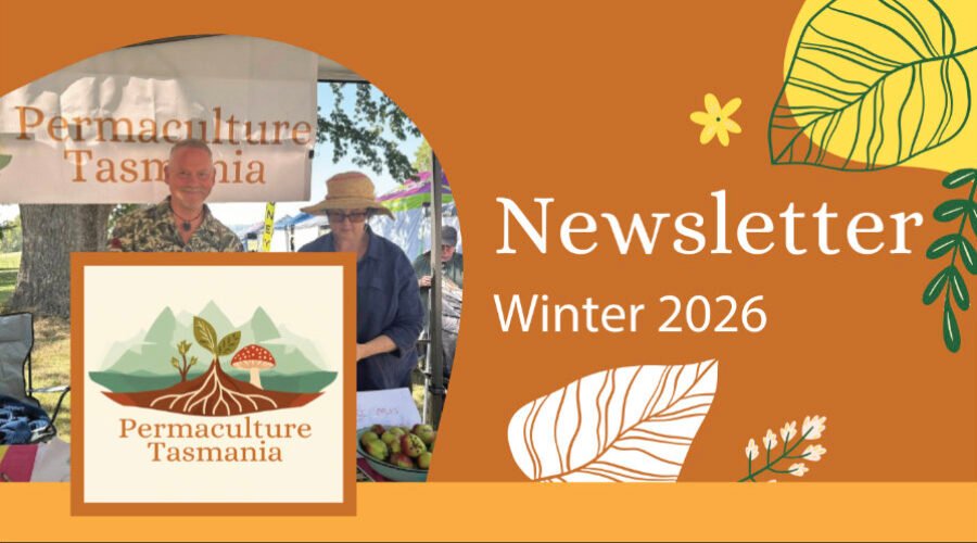 Newsletter — Winter 2026