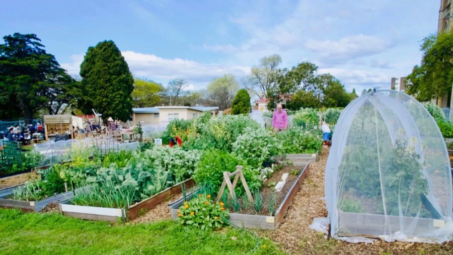 David Stephen Neighbourhood Garden in Hobart, Tasmania