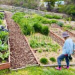 home garden