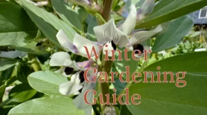 winter planting guide feature
