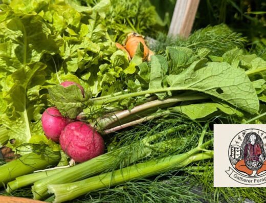 Gatherer Forager