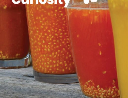 Seeds of Curiosity