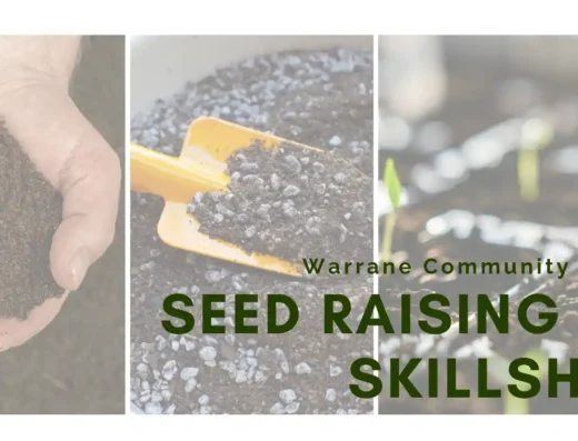 Seed Raising Mix Skillshare
