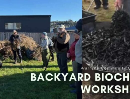 Backyard Biochar Workshop