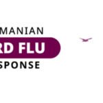 Bird flu response
