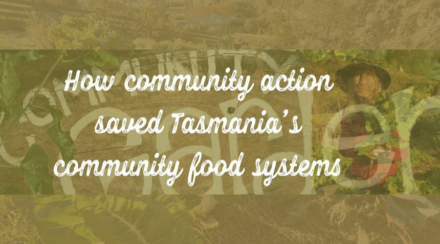When the community food movement meets the regulators