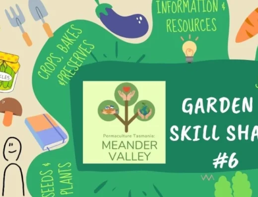 Garden & Skill Share #6