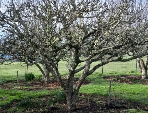 Practical Pruning