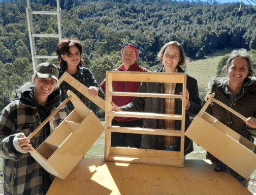 Woodworking Skills