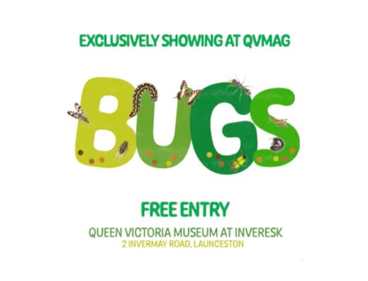 Bugs exhibition